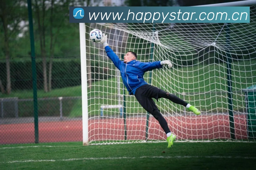 熊猫体育直播观看平台生态图